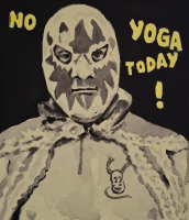 https://www.andreasleikauf.net:443/files/gimgs/th-51_no yoga today.jpg